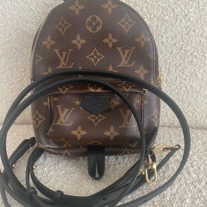 Louis Vuitton Palm Spring Mini
